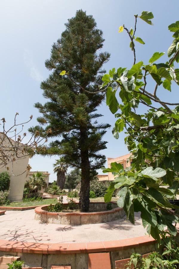Villa Marina - San Lorenzo Reitani Ngoại thất bức ảnh